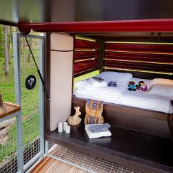 Zoo Safari de Thoiry